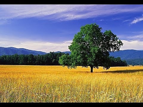 Садоводческое некоммерческое товарищество "Экран"